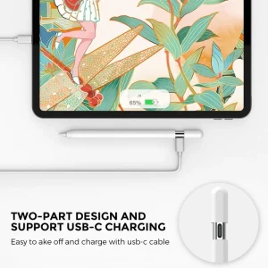Apple-Pencil-USB-C-Ahastyle-PT65-3-Silicone-Case-WhiteNone-20122023-01-p Apple Pencil USB-C
