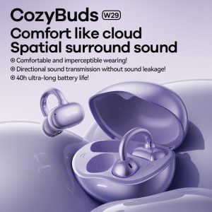 Remax Custom logo CozyBuds W29