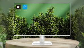 images (1) Monitor MSI 27 inch Pro 120 Hz